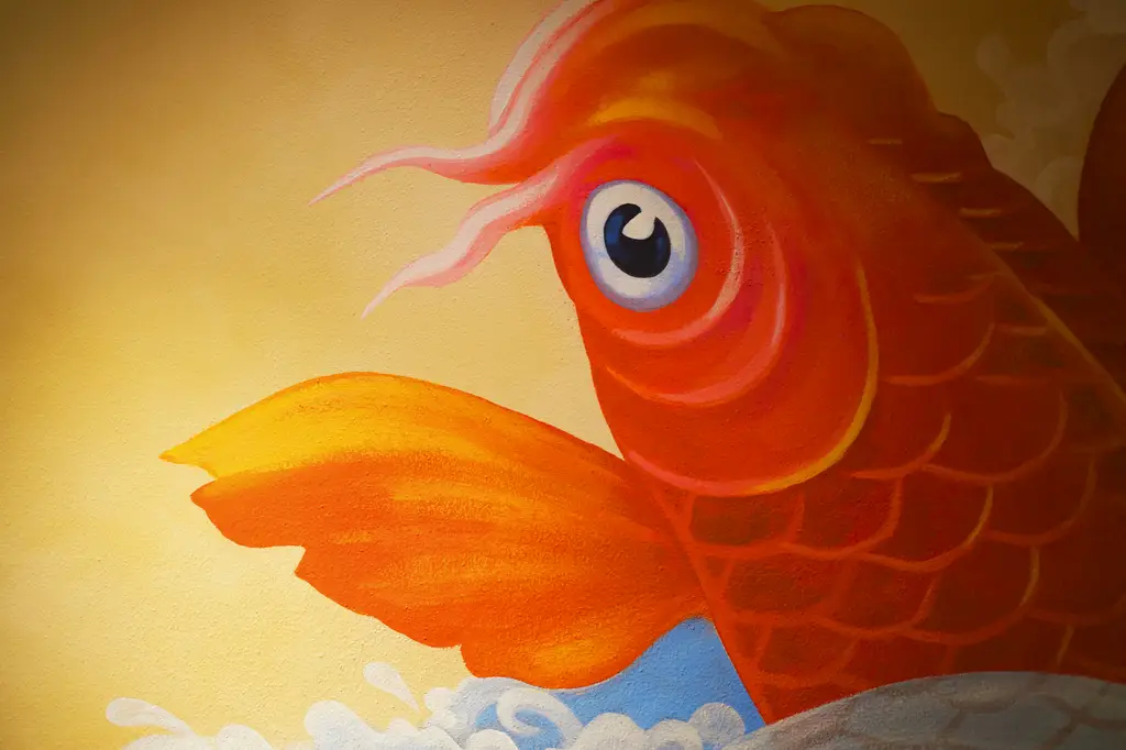 孔雀魚飼養全攻略:五彩斑斕的水中精靈